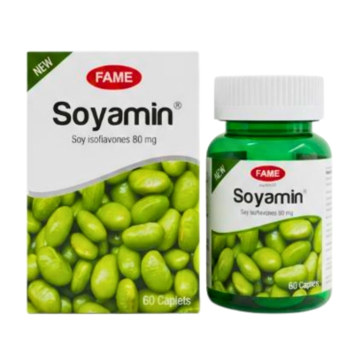 Soyamin (ပဲပိစပ္)