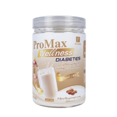 Promax Wellness Peanut Milk 250g Diabetes
