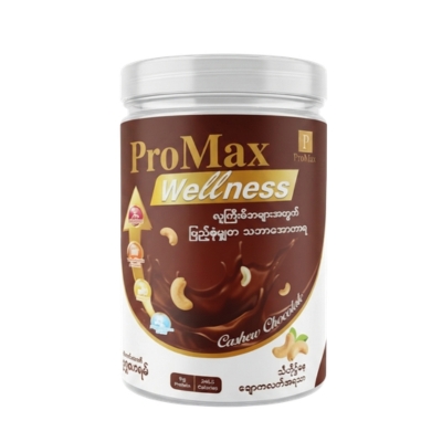 Promax Wellness Peanut Chocolate 250g
