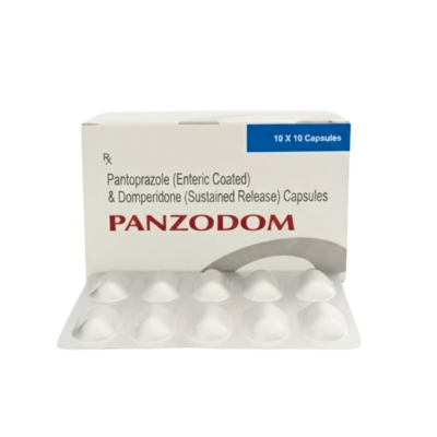 [11160022] Panzodom