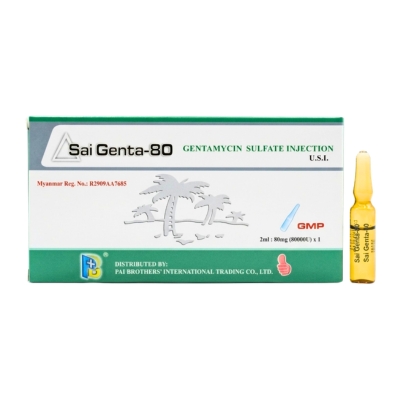 [5070004] Gentamycin inj China