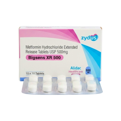 [11020029] Bigsens XR 500